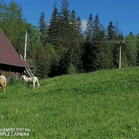 U Jany Domcek Ždiar